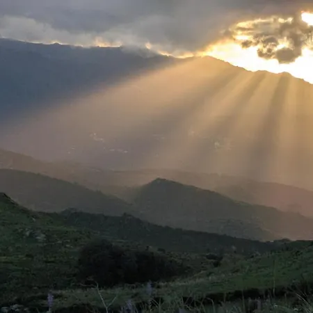 公寓 U Pagliaghju *